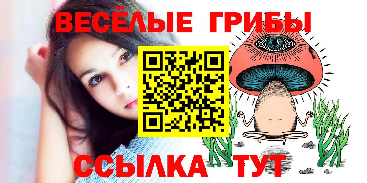 Псилоцибиновые грибы Psilocybine cubensis Тула