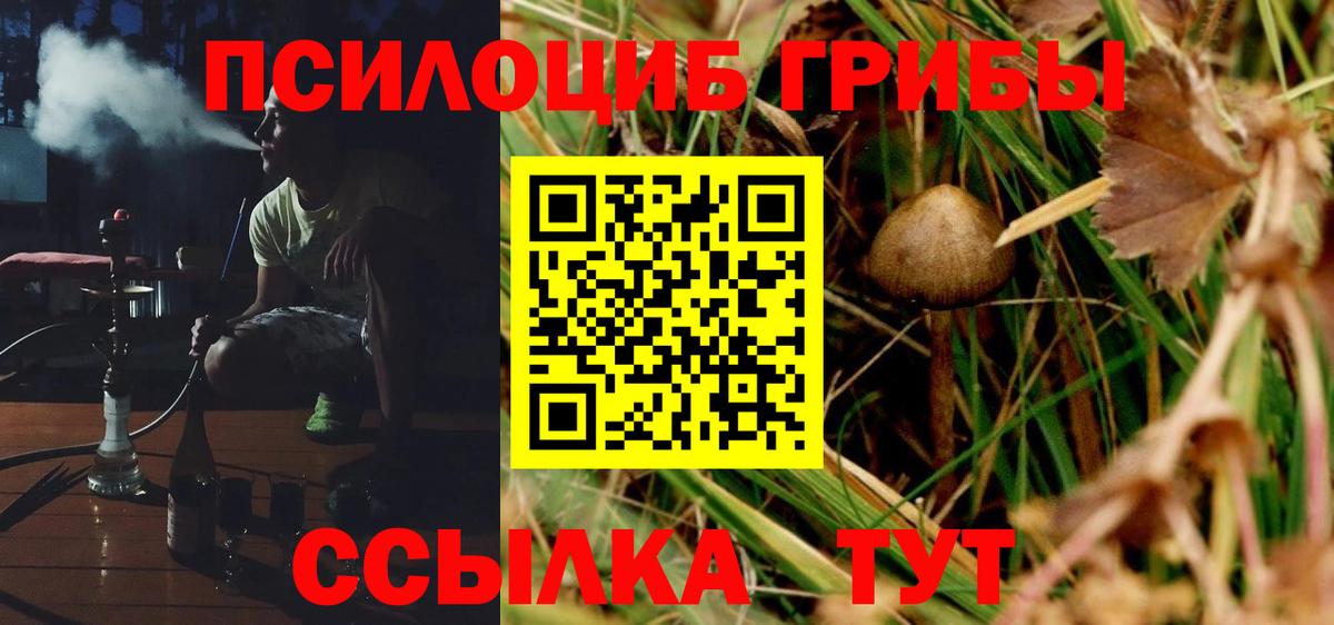 Псилоцибиновые грибы прущие грибы  Вход с VPN  Тула 